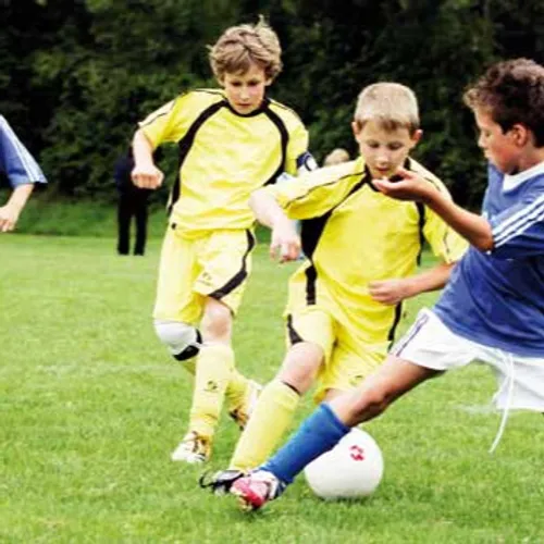 JOURNAL DU MERCREDI 25 AOUT ( MIDI )